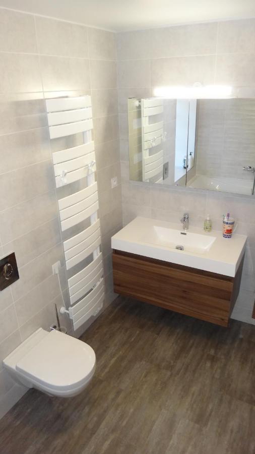 Great House In Center Of Luz St Sauveur Villa Люс-Сен-Совер Екстериор снимка